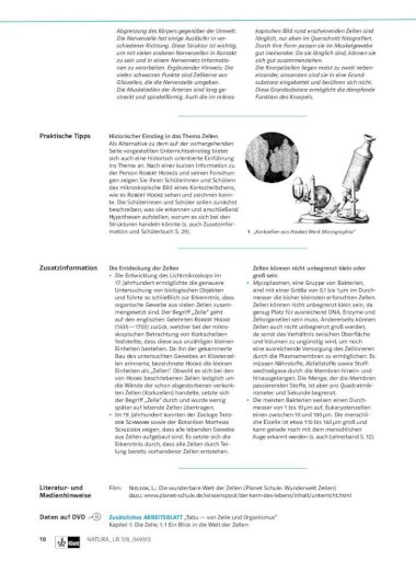 Arbeitsblatt Über Zellen : Zellatmung / Zellen lebend ...