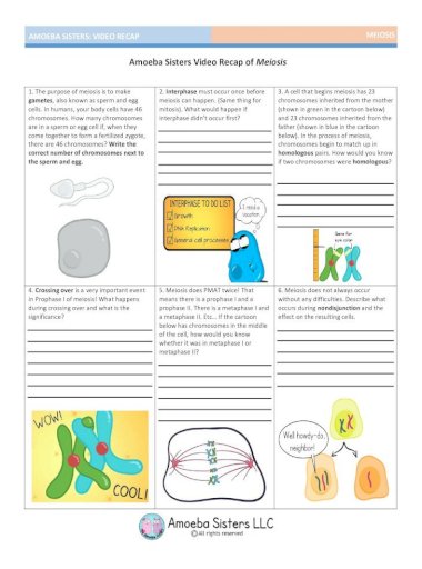 Amoeba Sisters Introduction To Cells Worksheet Answers