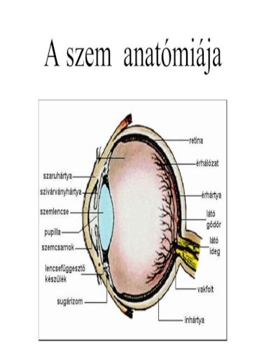 A retina magas vérnyomás-szklerotikus angiopátia