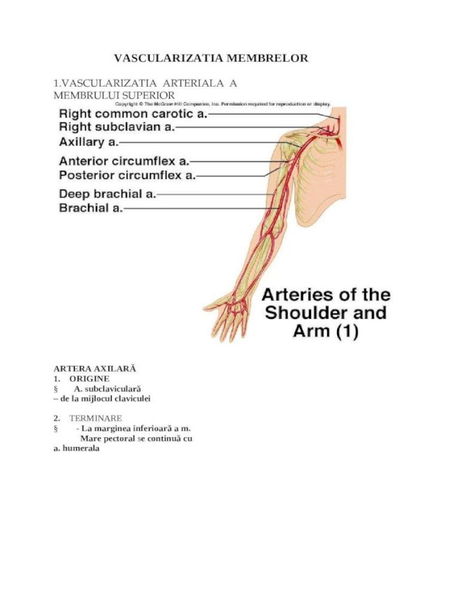 vascularizatia cotului fluid în articulația cotului cu artrită reumatoidă