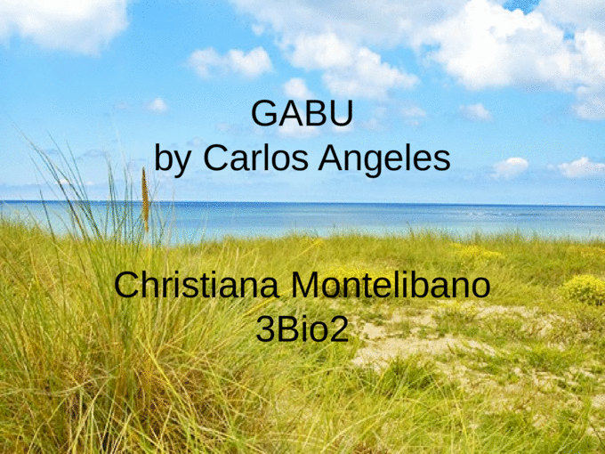 GABU by Carlos Angeles