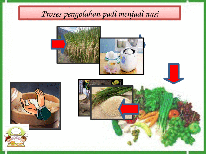 Proses pengolahan padi menjadi nasi