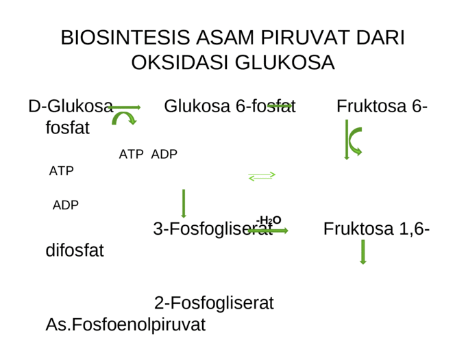 Biosintesis asam Piruvat.ppt